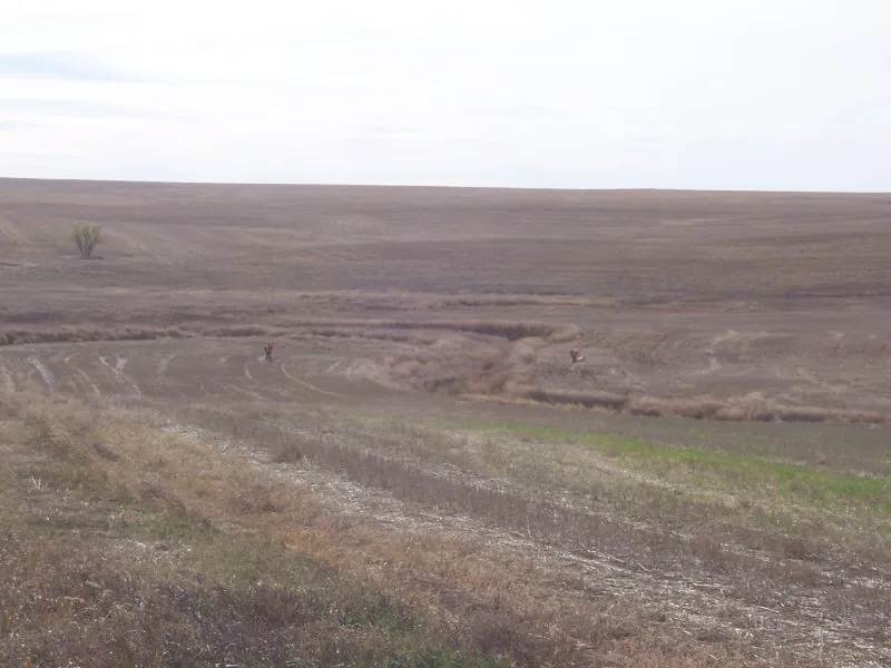 Hunting party DG from California – 2007 wild pheasant hunt in North Dakota