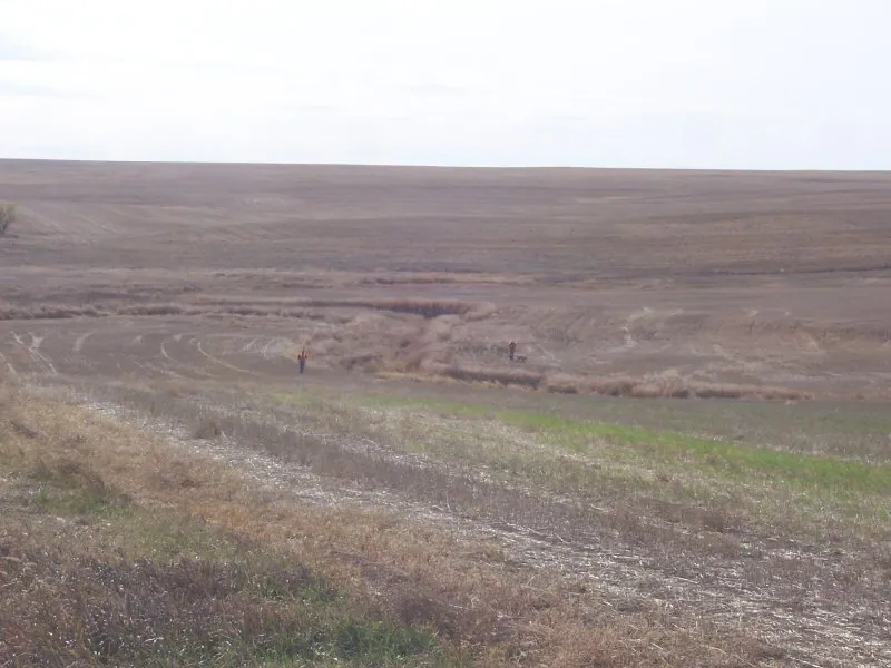 Hunting party DG from California – 2007 wild pheasant hunt in North Dakota