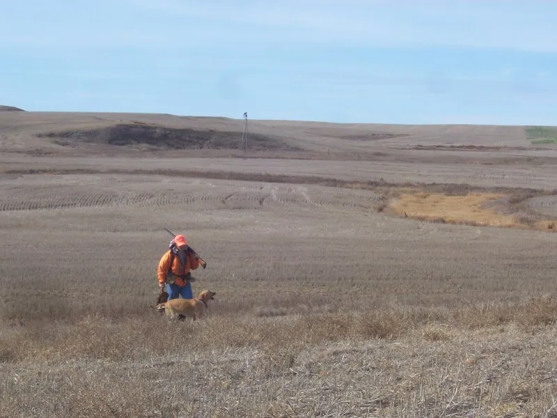Hunting party DG from California – 2007 wild pheasant hunt in North Dakota