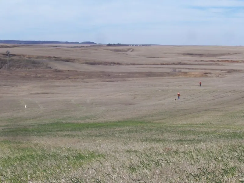 Hunting party DG from California – 2007 wild pheasant hunt in North Dakota