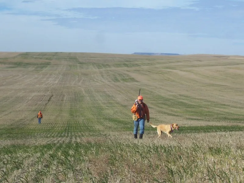 Hunting party DG from California – 2007 wild pheasant hunt in North Dakota