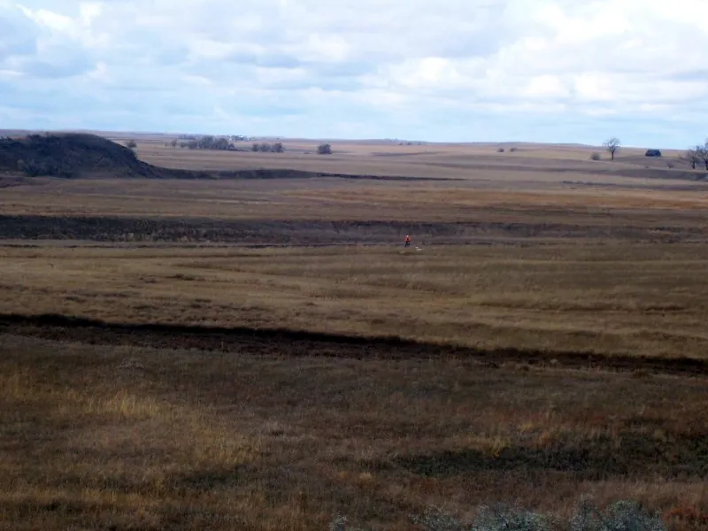 Hunting party DG from California – 2008 wild pheasant hunt in North Dakota