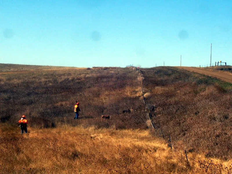 Hunting party DG from California – 2008 wild pheasant hunt in North Dakota