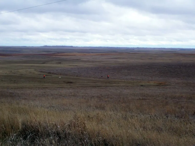 Hunting party DG from California – 2008 wild pheasant hunt in North Dakota