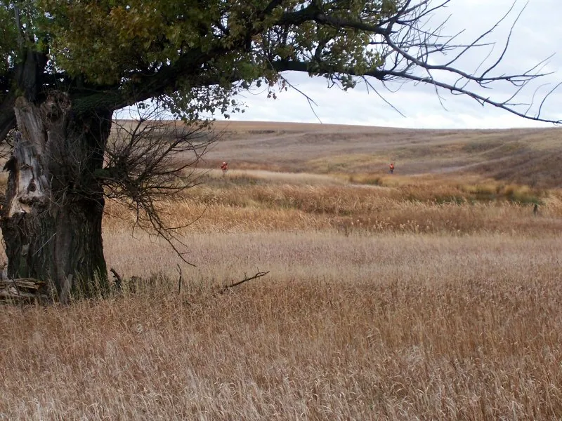 Hunting party DG from California – 2008 wild pheasant hunt in North Dakota