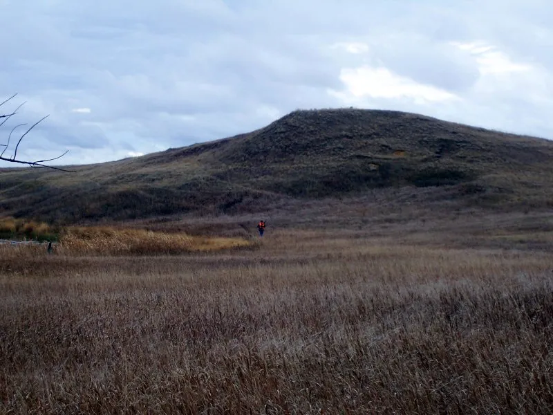 Hunting party DG from California – 2008 wild pheasant hunt in North Dakota