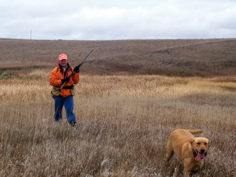 Hunting party DG from California – 2008 wild pheasant hunt in North Dakota