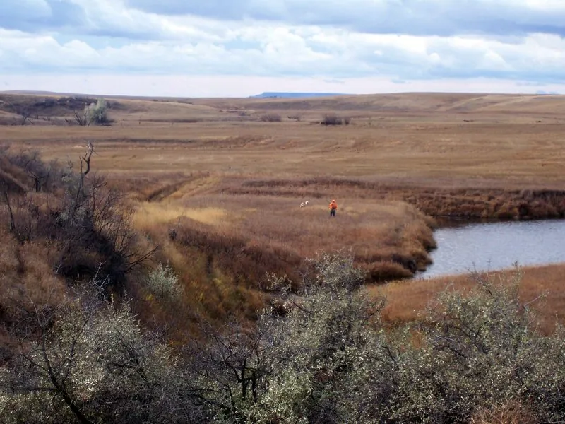 Hunting party DG from California – 2008 wild pheasant hunt in North Dakota