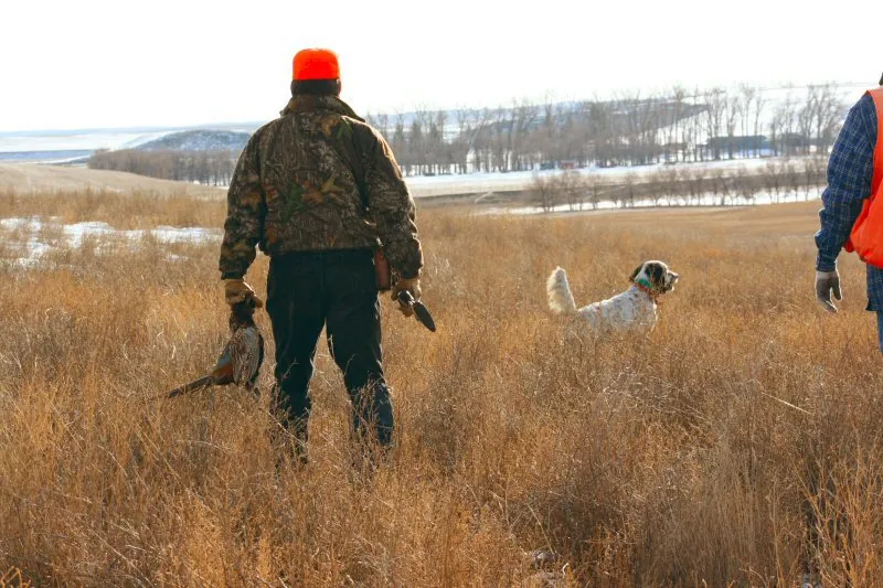 Hunting party JS from Florida – 2008 wild pheasant hunt in North Dakota