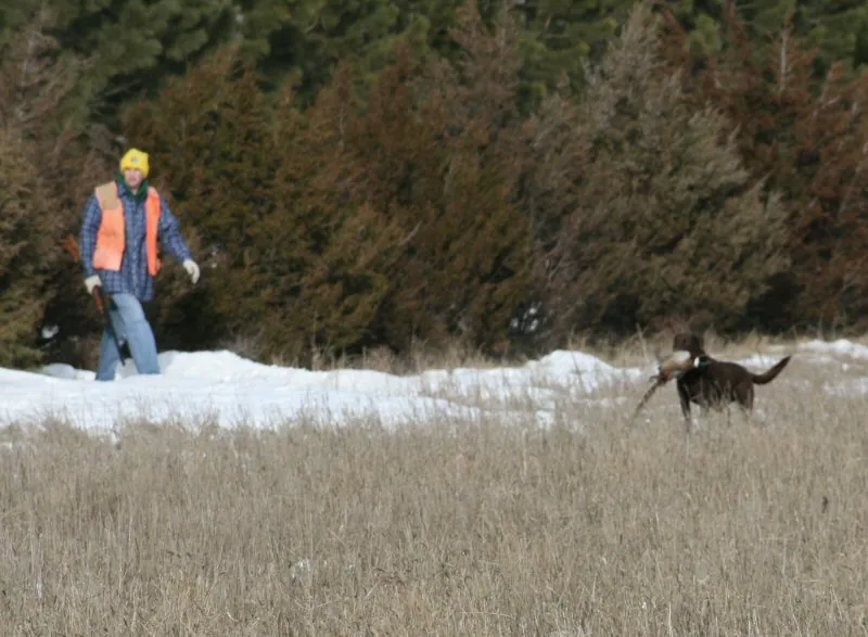 Hunting party JS from Florida – 2008 wild pheasant hunt in North Dakota