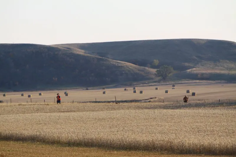 Hunting party JS from Illinois – 2010 wild pheasant hunt in North Dakota