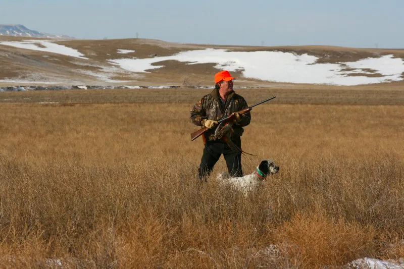 Hunting party JS from Florida – 2008 wild pheasant hunt in North Dakota