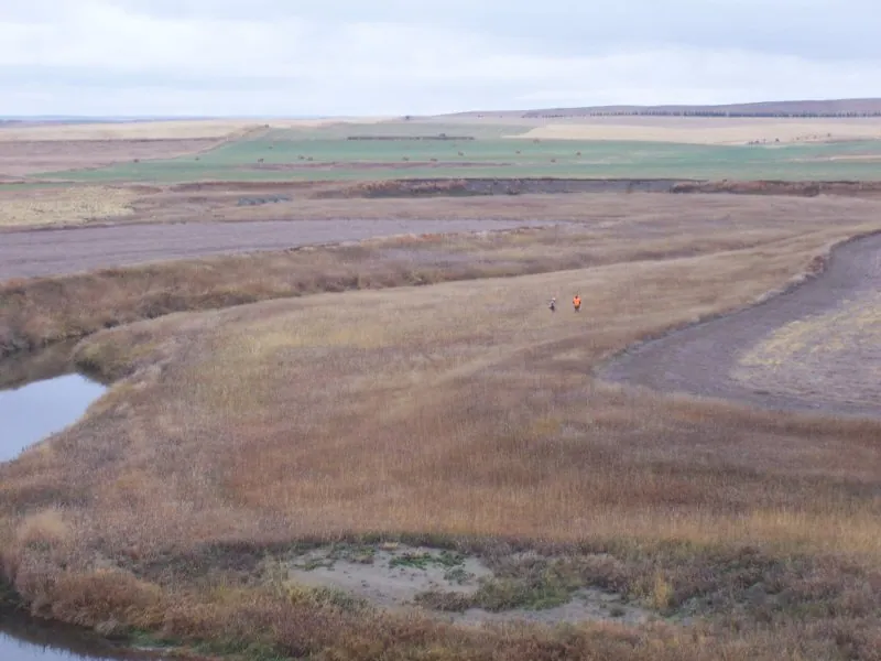 Hunting party DG from California – 2009 wild pheasant hunt in North Dakota