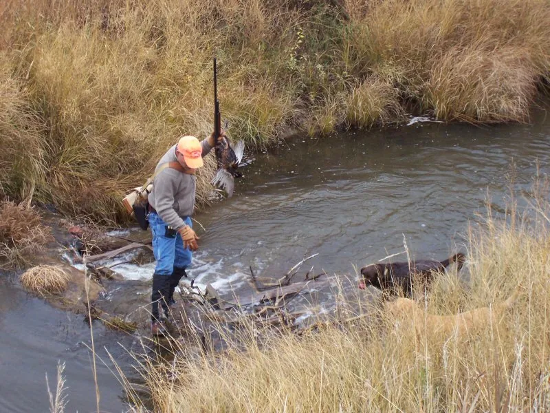 Hunting party DG from California – 2009 wild pheasant hunt in North Dakota