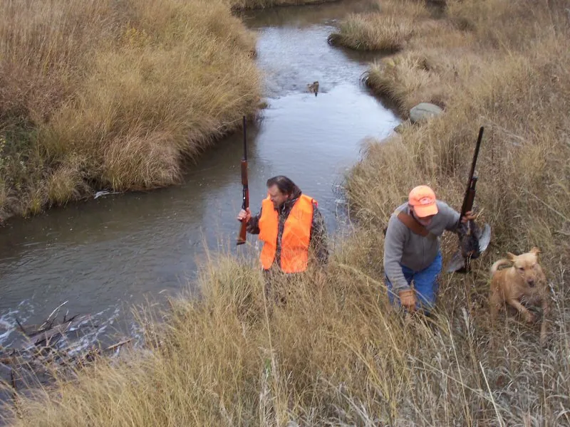 Hunting party DG from California – 2009 wild pheasant hunt in North Dakota