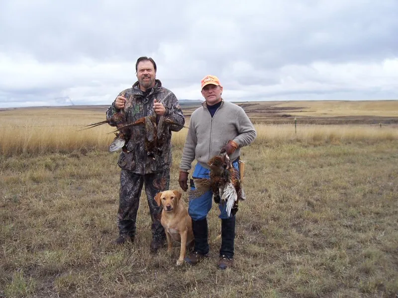 Hunting party DG from California – 2009 wild pheasant hunt in North Dakota