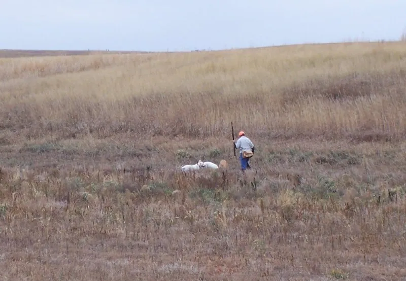 Hunting party DG from California – 2009 wild pheasant hunt in North Dakota