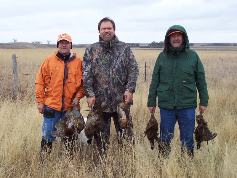 Hunting party DG from California – 2009 wild pheasant hunt in North Dakota