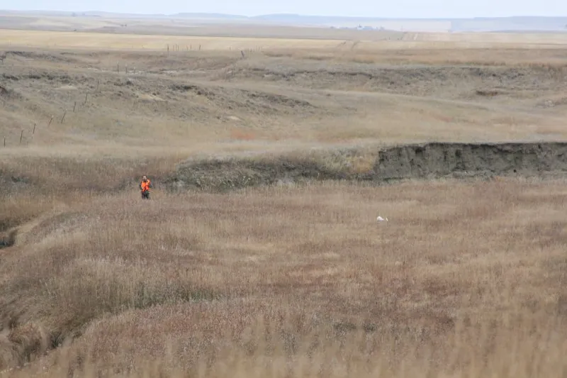 Hunting party DG from California – 2009 wild pheasant hunt in North Dakota