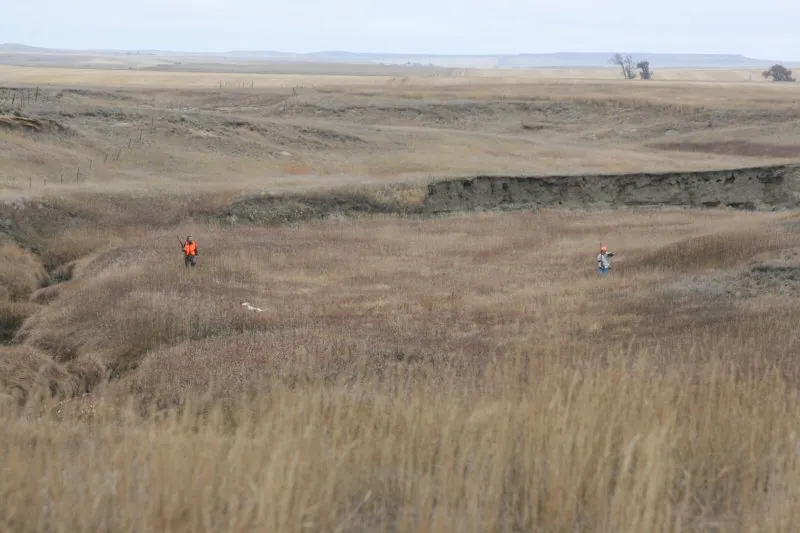 Hunting party DG from California – 2009 wild pheasant hunt in North Dakota