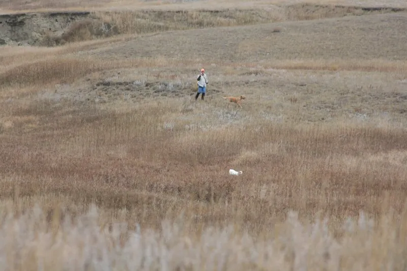 Hunting party DG from California – 2009 wild pheasant hunt in North Dakota