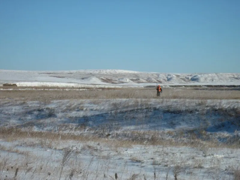Hunting party DG from California – 2010 wild pheasant hunt in North Dakota