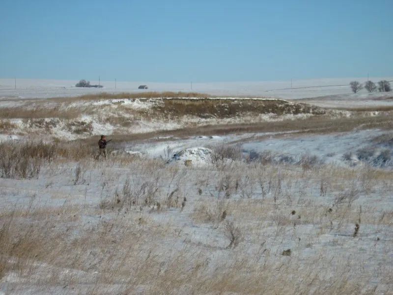 Hunting party DG from California – 2010 wild pheasant hunt in North Dakota
