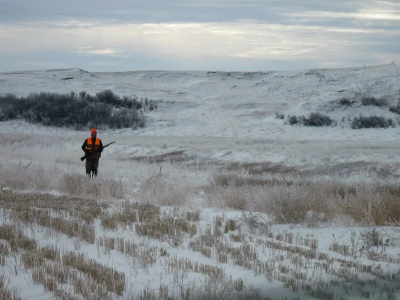 Hunting party DG from California – 2010 wild pheasant hunt in North Dakota