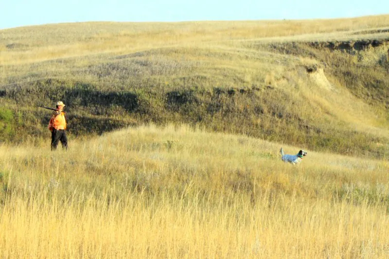 Hunting party JS from Illinois – 2010 wild pheasant hunt in North Dakota