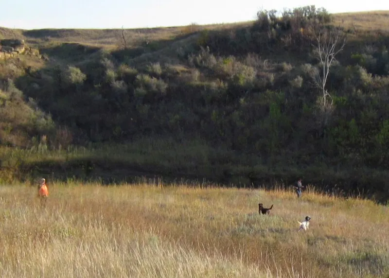 Hunting party JS from Illinois – 2010 wild pheasant hunt in North Dakota