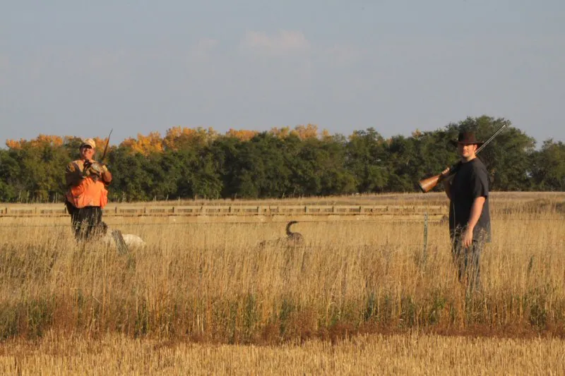 Hunting party JS from Illinois – 2010 wild pheasant hunt in North Dakota