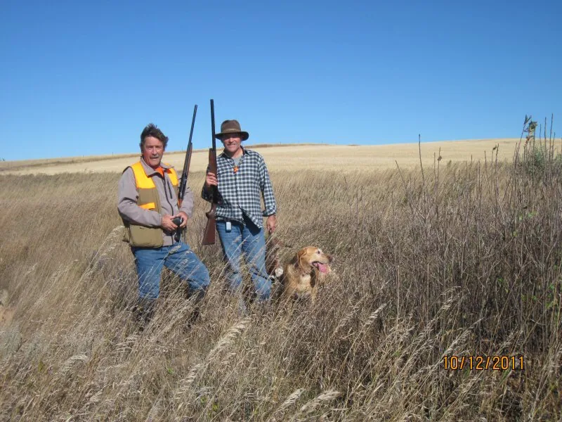 Hunting party DG from California – 2011 wild pheasant hunt in North Dakota