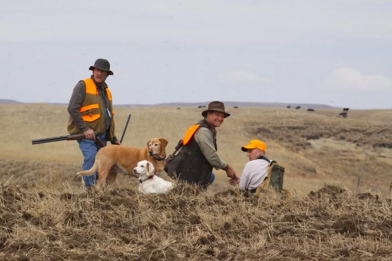 Hunting party DG from California – 2011 wild pheasant hunt in North Dakota