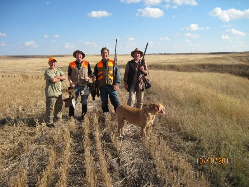 Hunting party DG from California – 2011 wild pheasant hunt in North Dakota