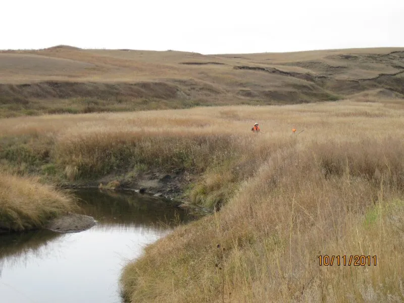 Hunting party DG from California – 2011 wild pheasant hunt in North Dakota