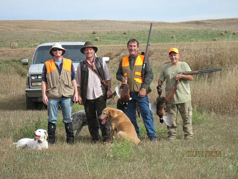 Hunting party DG from California – 2011 wild pheasant hunt in North Dakota