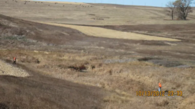Hunting party DG from California – 2012 wild pheasant hunt in North Dakota
