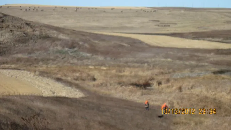 Hunting party DG from California – 2012 wild pheasant hunt in North Dakota