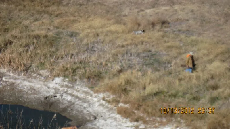 Hunting party DG from California – 2012 wild pheasant hunt in North Dakota