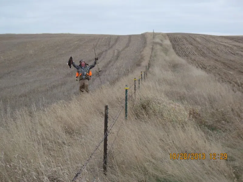 Hunting party BK from Wisconsin – 2013 wild pheasant hunt in North Dakota