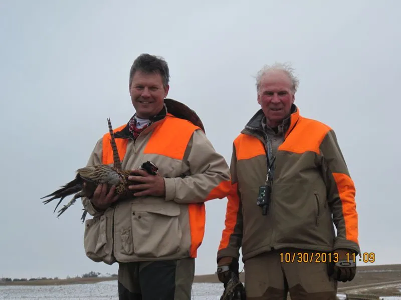 2013 wild pheasant hunt at K Pheasant Hunting, North Dakota (photo 45)