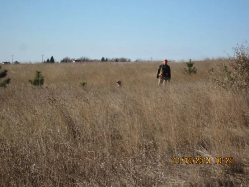 Hunting party TH from Minnesota – 2013 wild pheasant hunt in North Dakota