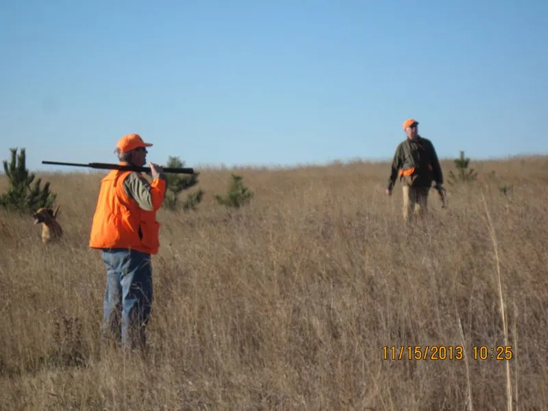 Hunting party TH from Minnesota – 2013 wild pheasant hunt in North Dakota