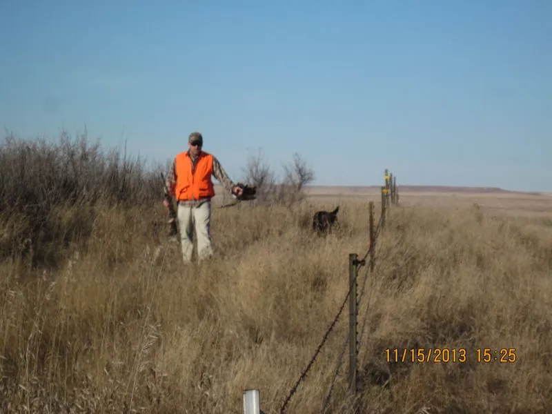 Hunting party TH from Minnesota – 2013 wild pheasant hunt in North Dakota