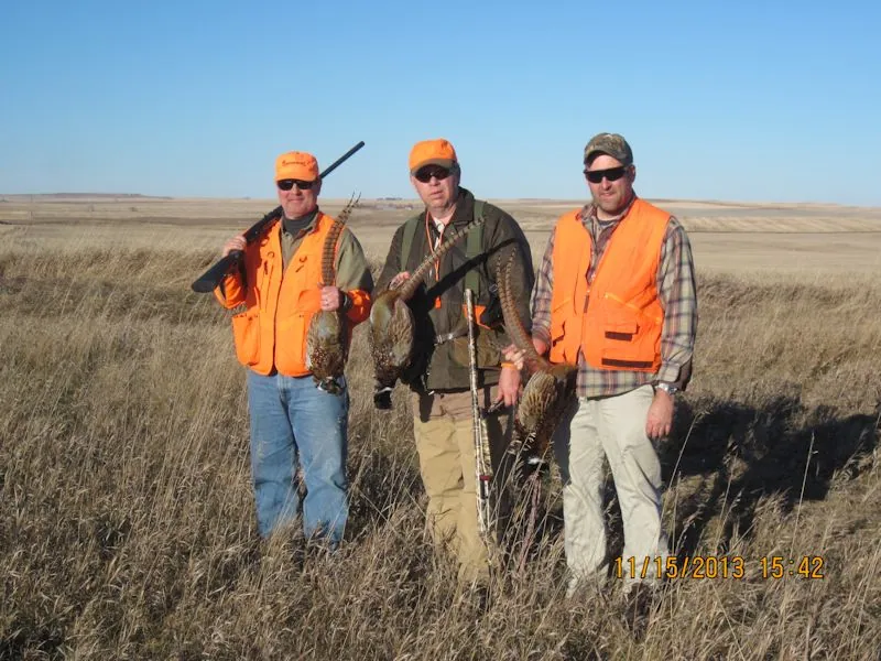 Hunting party TH from Minnesota – 2013 wild pheasant hunt in North Dakota