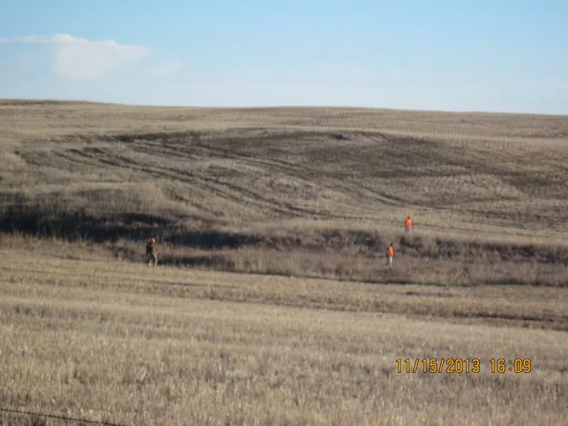 Hunting party TH from Minnesota – 2013 wild pheasant hunt in North Dakota