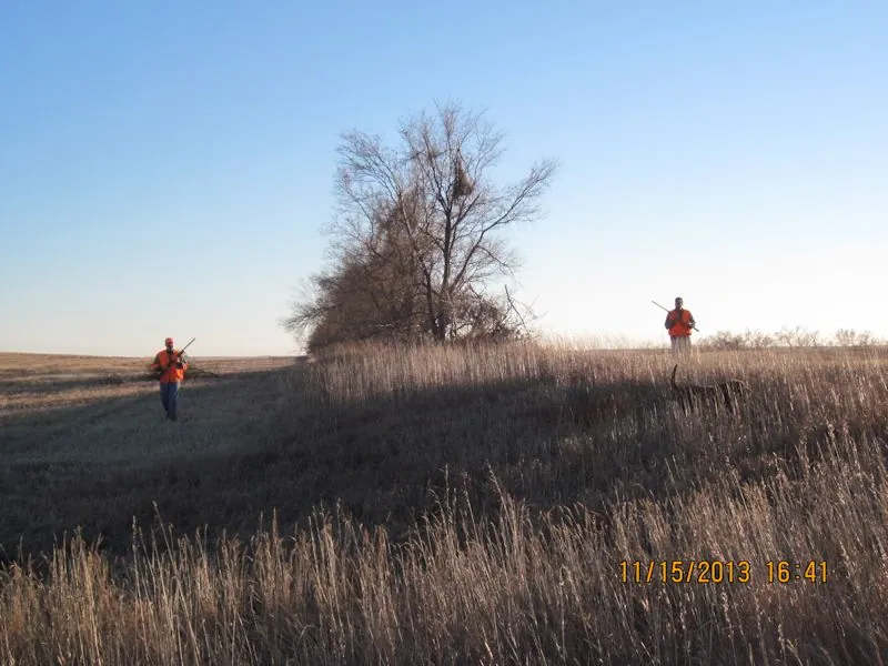 Hunting party TH from Minnesota – 2013 wild pheasant hunt in North Dakota