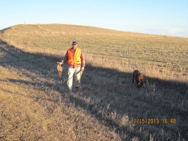 Hunting party TH from Minnesota – 2013 wild pheasant hunt in North Dakota