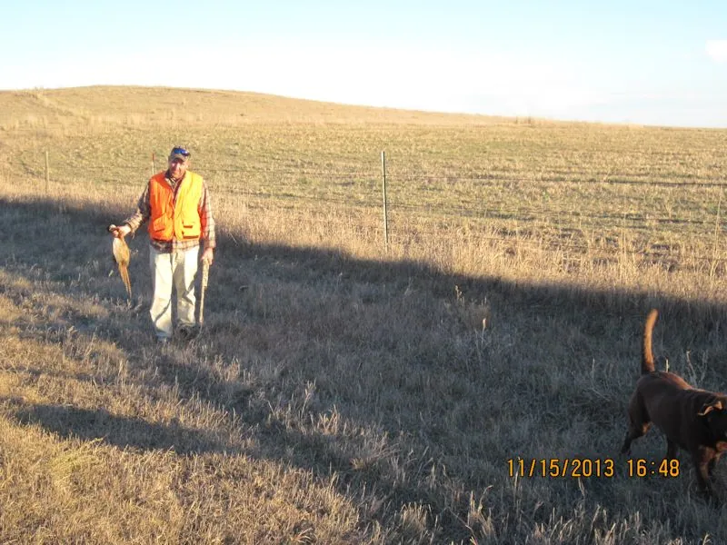 Hunting party TH from Minnesota – 2013 wild pheasant hunt in North Dakota