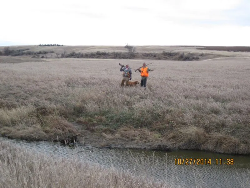 Hunting party BK from Wisconsin – 2014 wild pheasant hunt in North Dakota